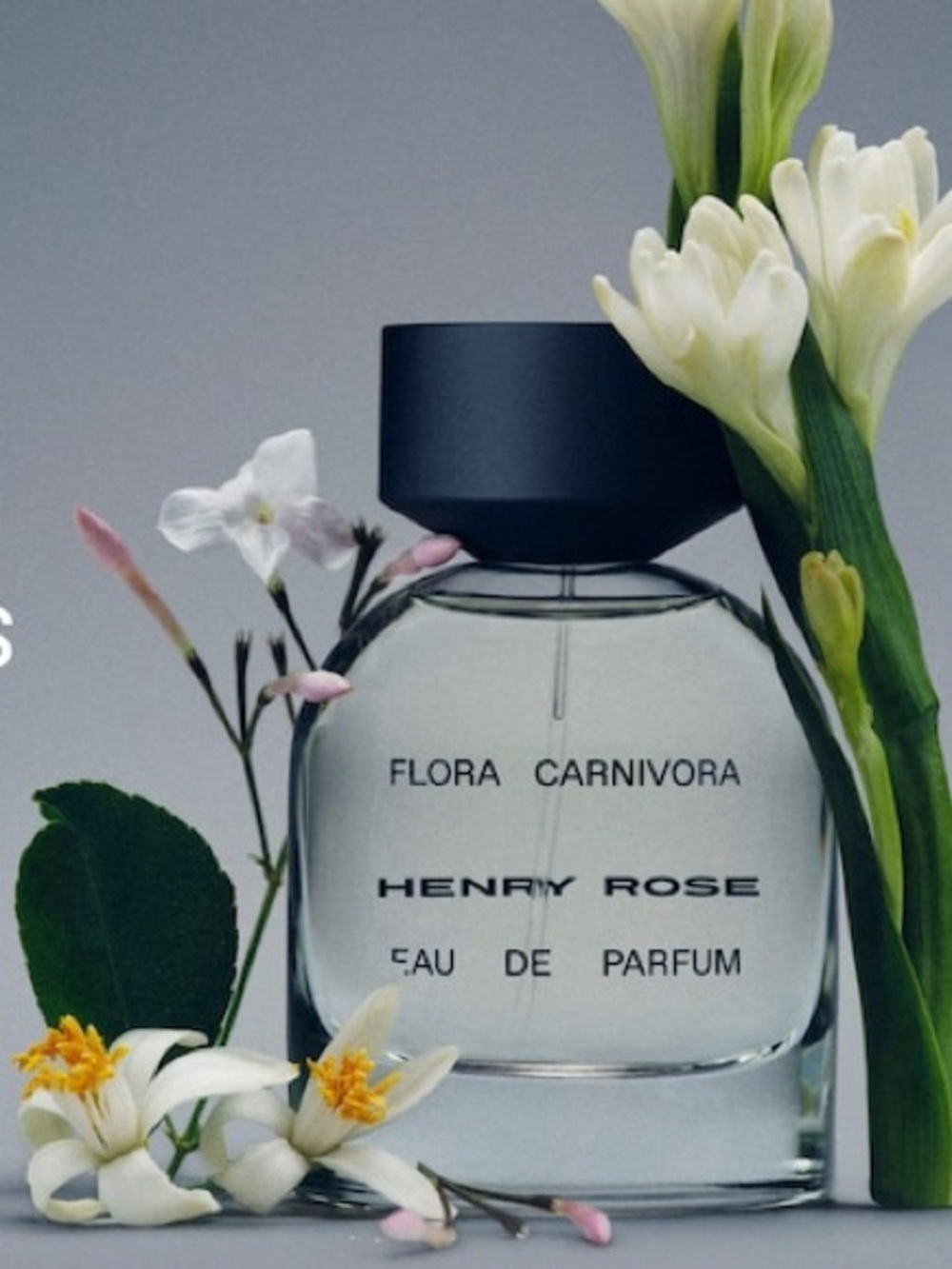 Henry Rose by Michelle Pfeiffer Flora Carnivora  - Clear Bottle with Black Cap
